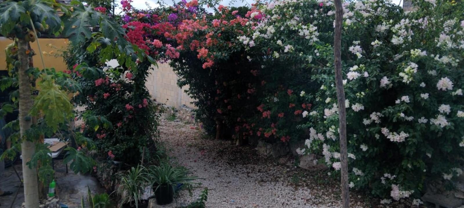 Casa Los Jarochos Valladolid  Ngoại thất bức ảnh