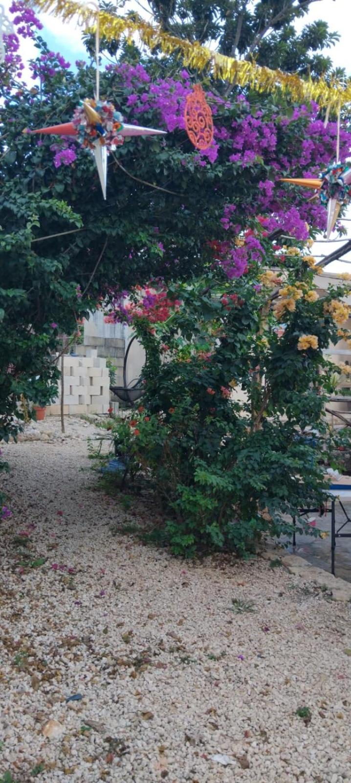 Casa Los Jarochos Valladolid  Ngoại thất bức ảnh